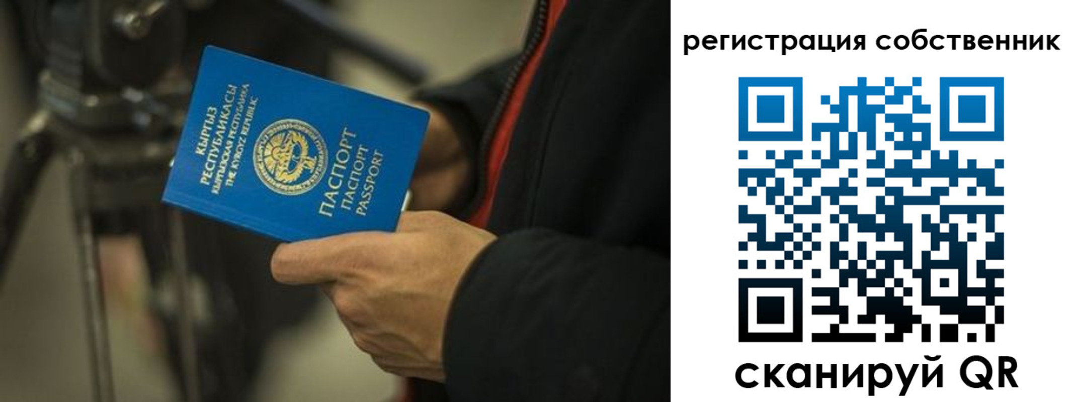 временная регистрация поиск в Алексеевке